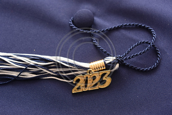 FGS_6022